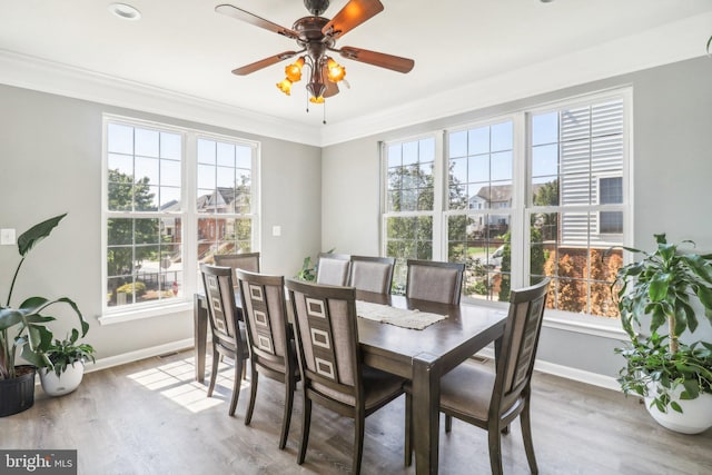 dining space featuring crown molding, plenty of natural light, baseboards, and wood finished floors