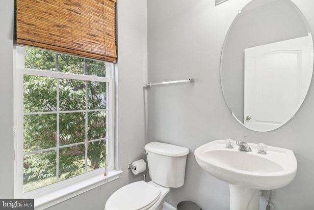 bathroom with a sink, toilet, and a healthy amount of sunlight