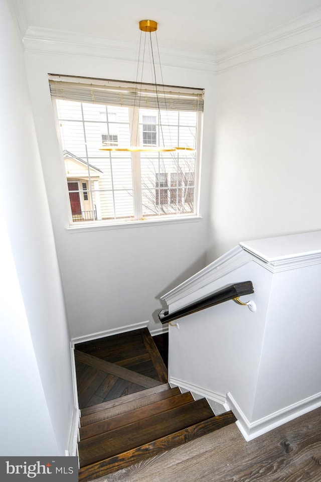 stairs with a wealth of natural light, crown molding, and wood finished floors