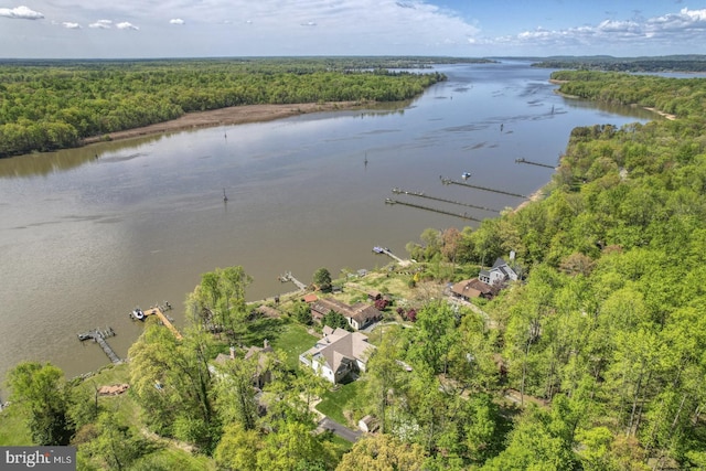 drone / aerial view featuring a view of trees and a water view