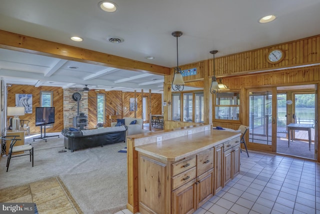 kitchen with light carpet, wood walls, and a wood stove