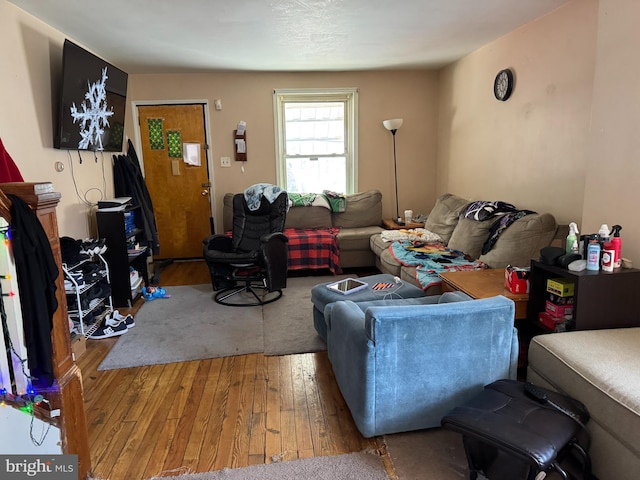 living room featuring hardwood / wood-style floors