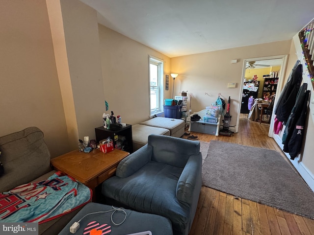 living room featuring hardwood / wood-style floors