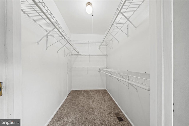 spacious closet with carpet floors and visible vents