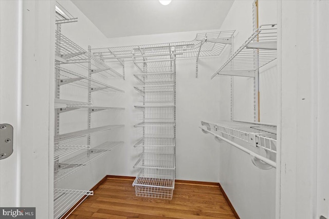 walk in closet featuring wood finished floors