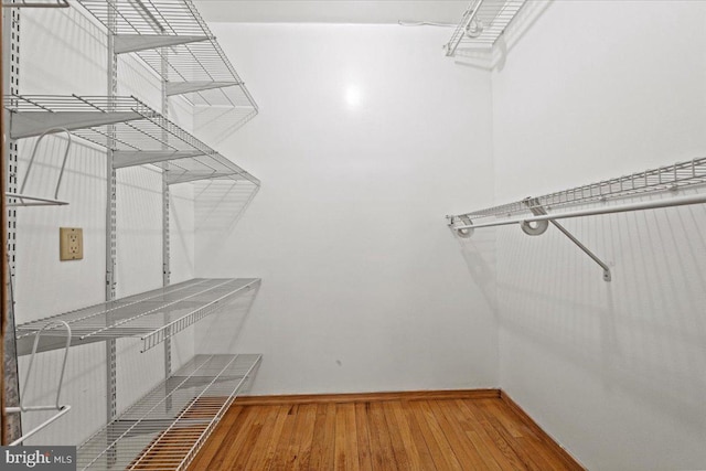 walk in closet featuring wood finished floors