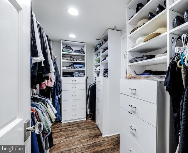 spacious closet featuring dark wood-style floors