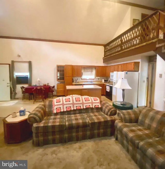 living area with ornamental molding and a high ceiling