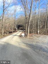 view of street with driveway