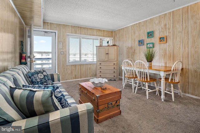 living room featuring wood walls, a textured ceiling, baseboards, and carpet flooring