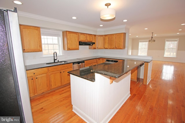 kitchen featuring under cabinet range hood, appliances with stainless steel finishes, light wood-style floors, and a sink