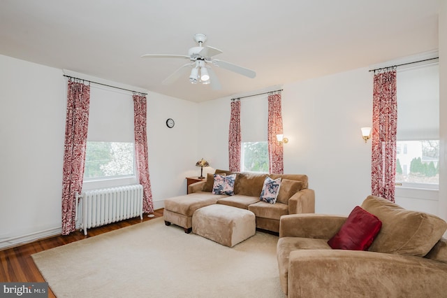 living room featuring ceiling fan, wood finished floors, and radiator