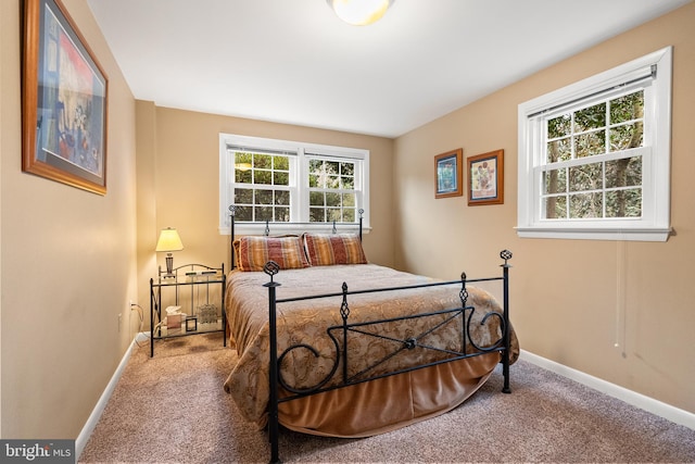 bedroom featuring baseboards and carpet