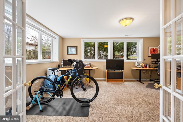 interior space featuring baseboards, a wealth of natural light, french doors, and carpet