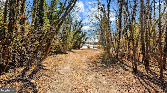 view of street with driveway