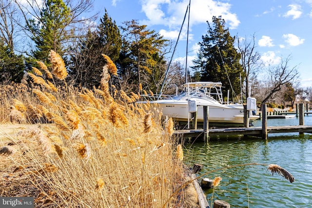 dock area with a water view and boat lift