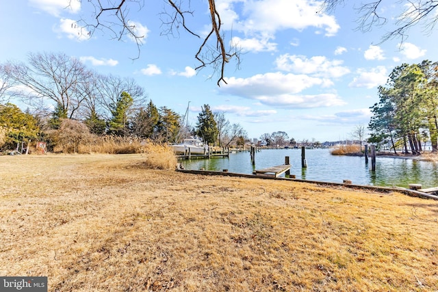 view of yard with a boat dock and a water view