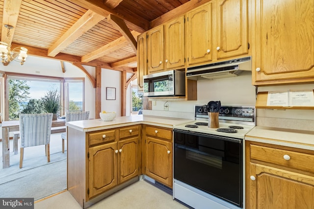 5112 Shore Dr, Huntingtown, MD 20639 - kitchen featuring electric range, under cabinet range hood, stainless steel microwave, a peninsula, and light countertops