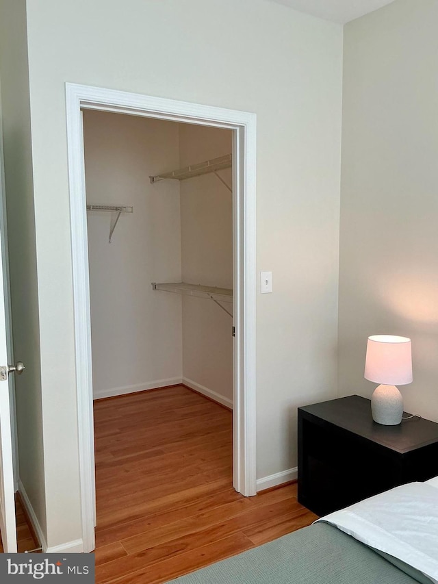 interior space featuring a spacious closet, a closet, wood finished floors, and baseboards