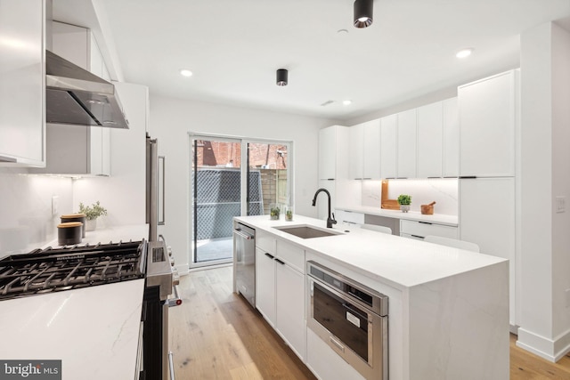 kitchen with white cabinets, stainless steel appliances, ventilation hood, and a sink