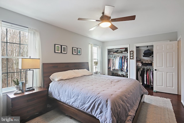 bedroom featuring ceiling fan, multiple closets, and dark wood-style flooring