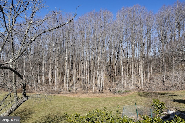 view of landscape with a wooded view