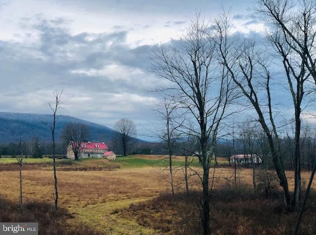 view of yard featuring a mountain view and a rural view