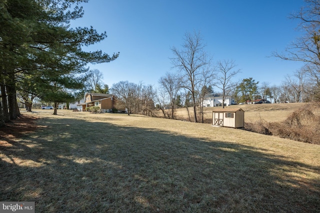 view of yard with a shed and an outdoor structure