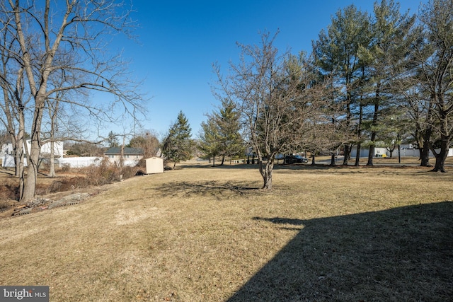 view of yard with a shed and an outbuilding