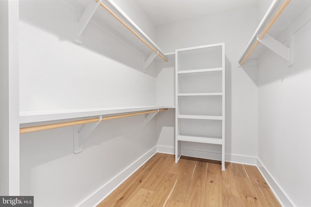 walk in closet with light wood-type flooring