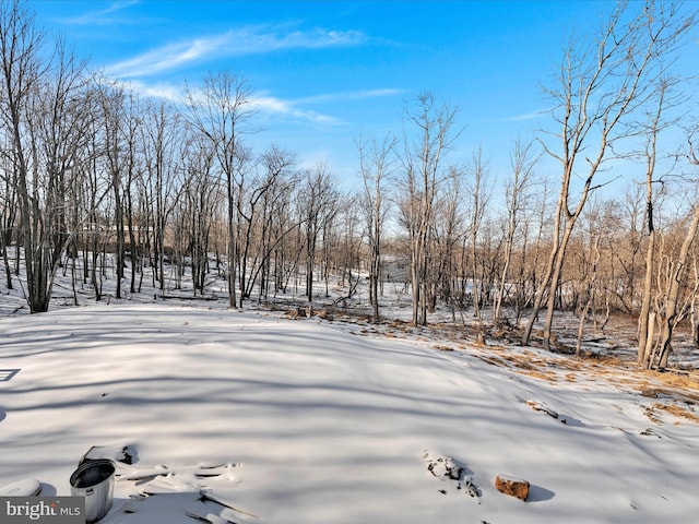 view of yard layered in snow