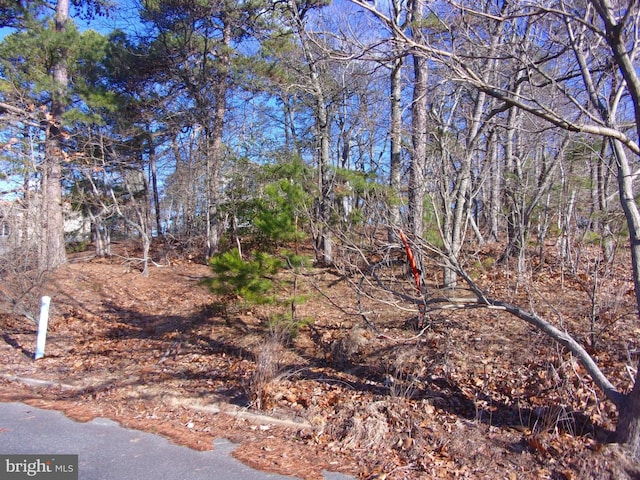 117 Kirk Ln, Pine Hill NJ, 08021 land for sale