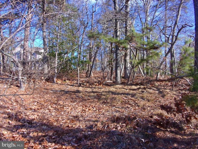 Listing photo 3 for 117 Kirk Ln, Pine Hill NJ 08021