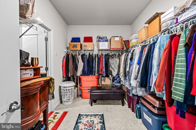 spacious closet with carpet