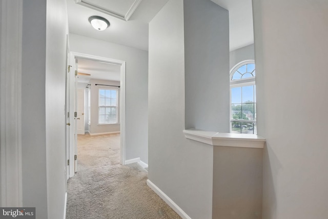 1332 Cranes Bill Way, Woodbridge, VA 22191 - corridor featuring carpet floors, baseboards, and an upstairs landing