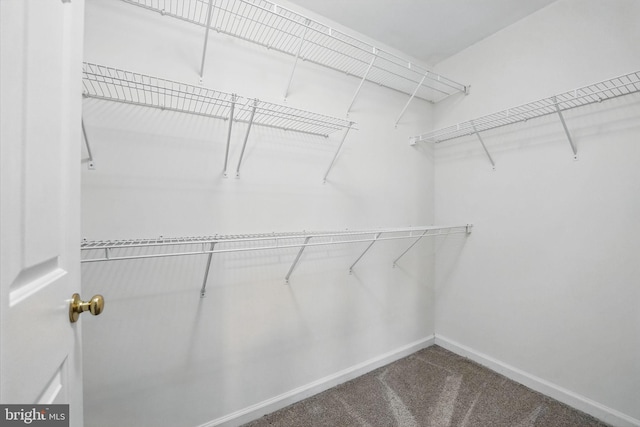 1332 Cranes Bill Way, Woodbridge, VA 22191 - walk in closet with carpet floors