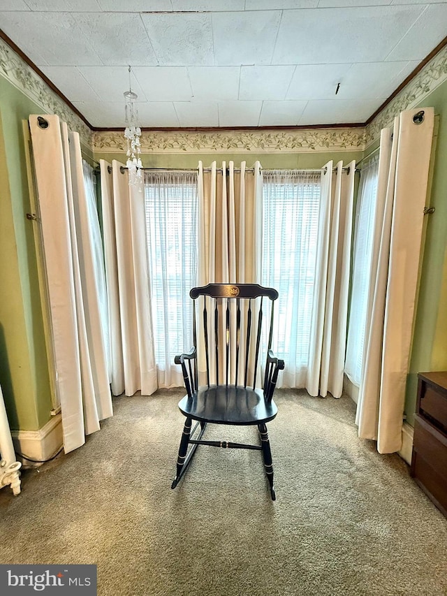 living area with ornamental molding and carpet flooring