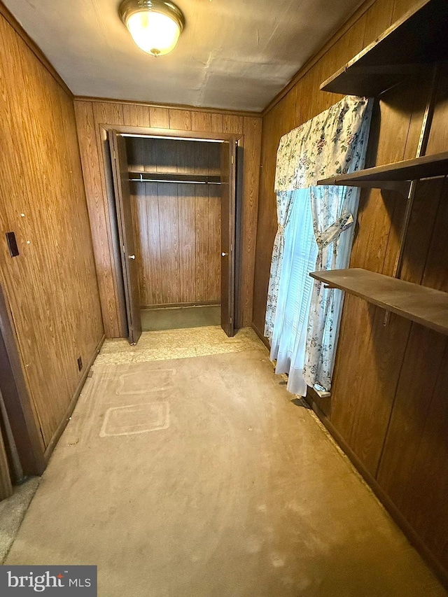 hallway with wood walls and carpet