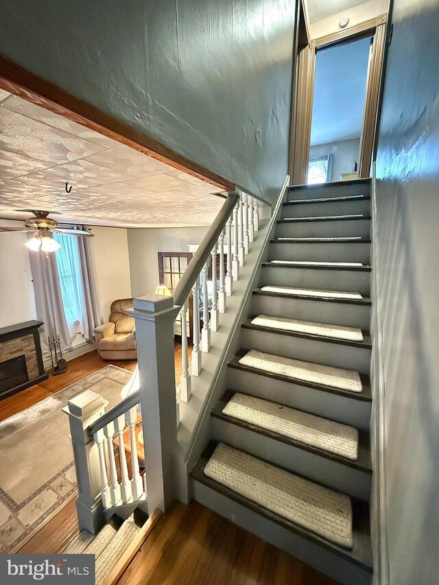 staircase featuring ceiling fan and wood finished floors