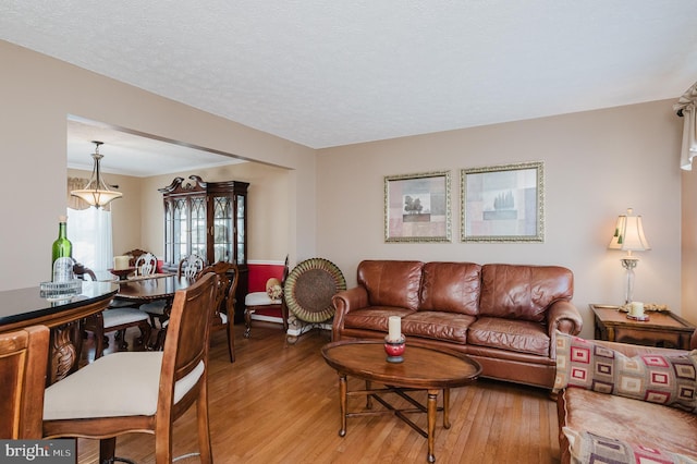 living area with light wood finished floors and a textured ceiling