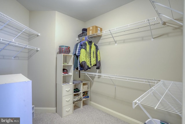 walk in closet featuring carpet