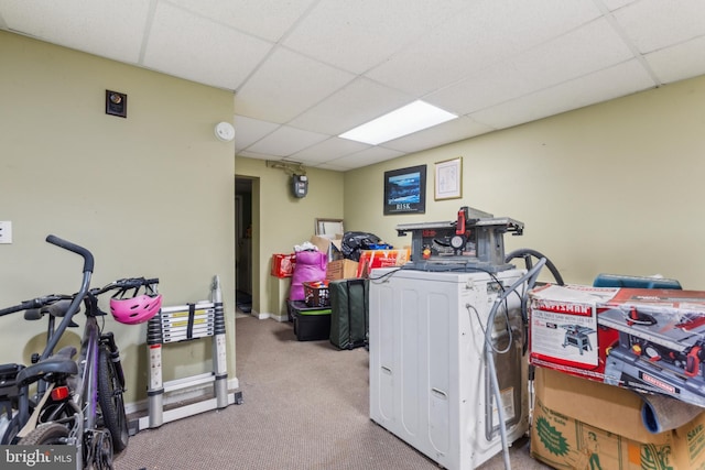 laundry room with carpet floors