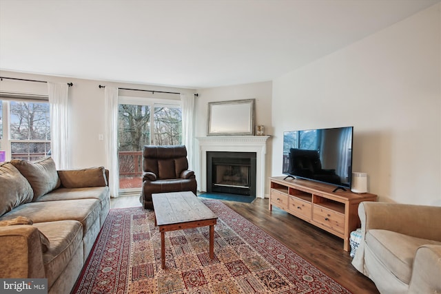 living room featuring a fireplace with flush hearth and wood finished floors