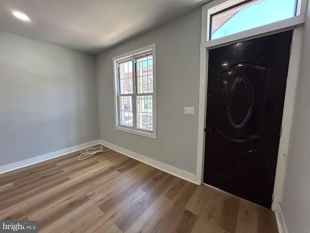 entryway with wood finished floors, a wealth of natural light, and baseboards