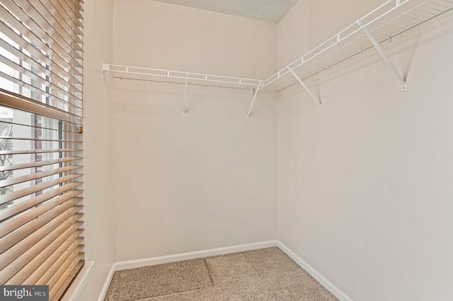 walk in closet with carpet