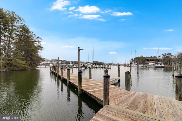 dock area featuring a water view