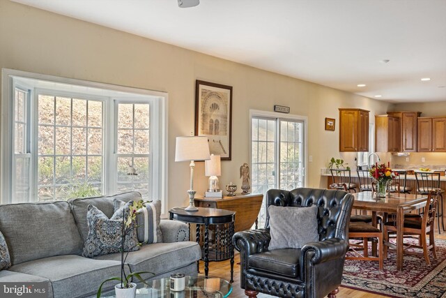 53 S Main St, Stockton, NJ 08559 - living area with light wood-type flooring and recessed lighting