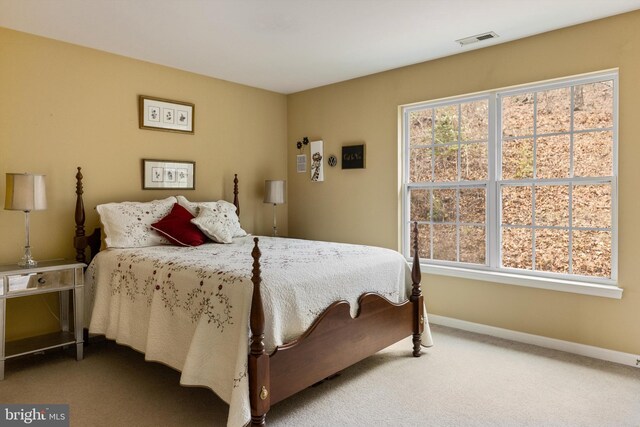 53 S Main St, Stockton, NJ 08559 - carpeted bedroom with multiple windows, visible vents, and baseboards