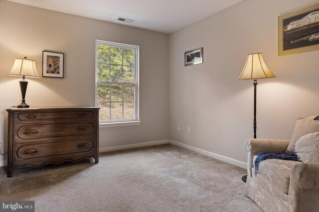 53 S Main St, Stockton, NJ 08559 - sitting room featuring carpet floors, baseboards, and visible vents