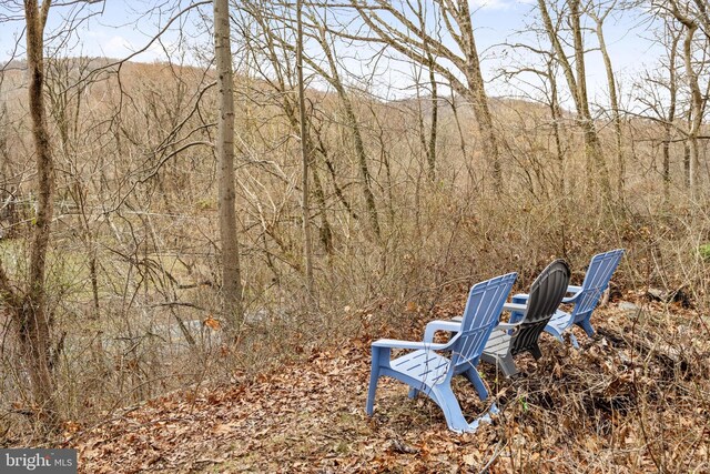53 S Main St, Stockton, NJ 08559 - view of yard